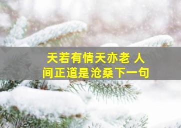 天若有情天亦老 人间正道是沧桑下一句